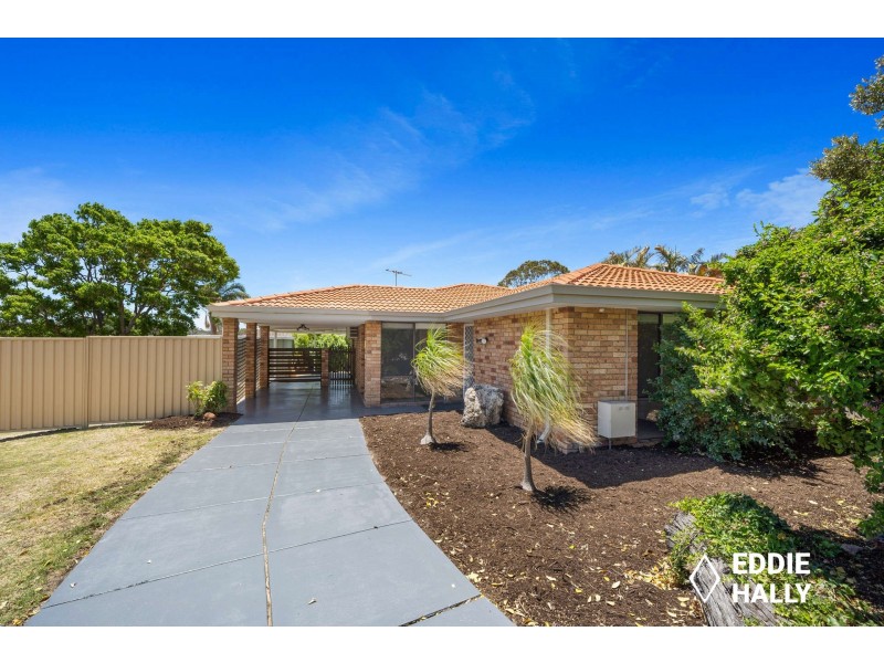 18 Tern Loop, Yangebup WA 6164