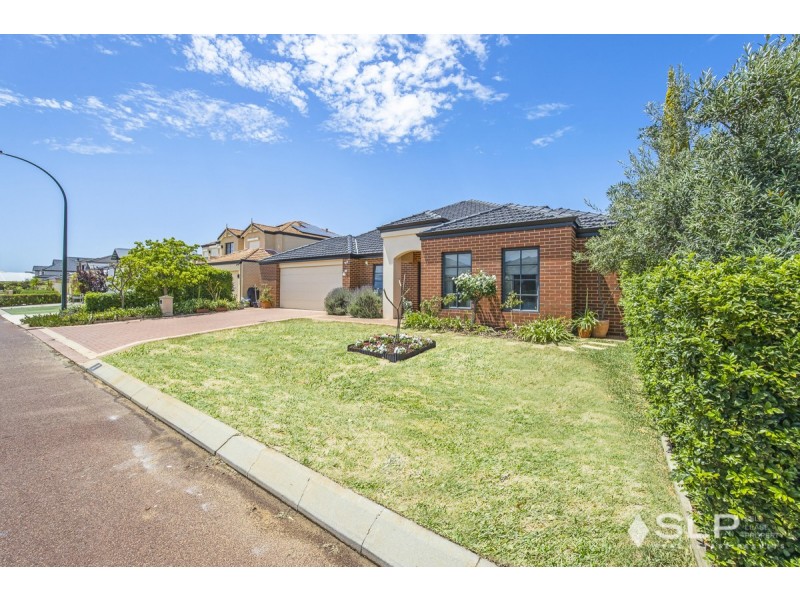 8 Heliconia Turn, Stirling WA 6021