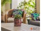 2 Nautilus Close, Port Kennedy WA 6172