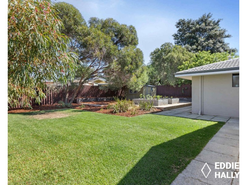 61 Sandpiper Loop, Yangebup WA 6164