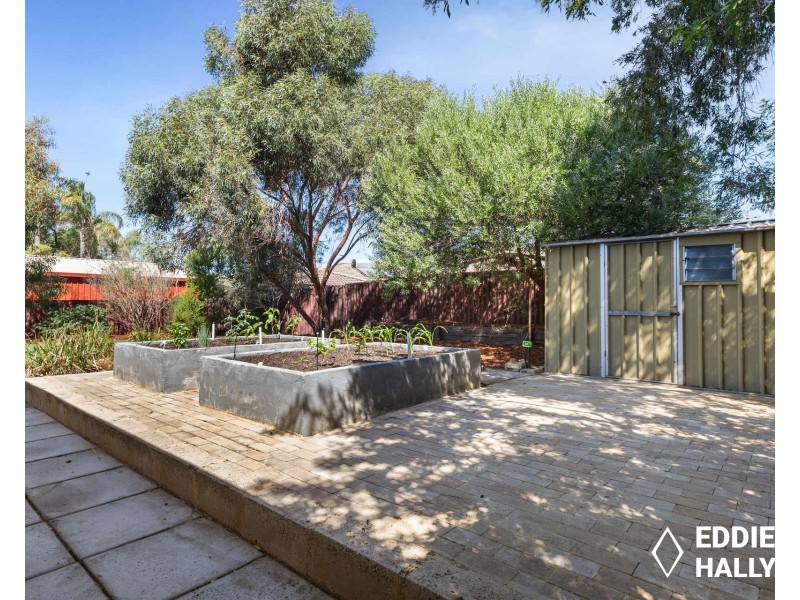 61 Sandpiper Loop, Yangebup WA 6164