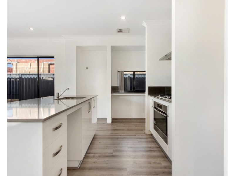 17 Macadamia Avenue, Baldivis WA 6171