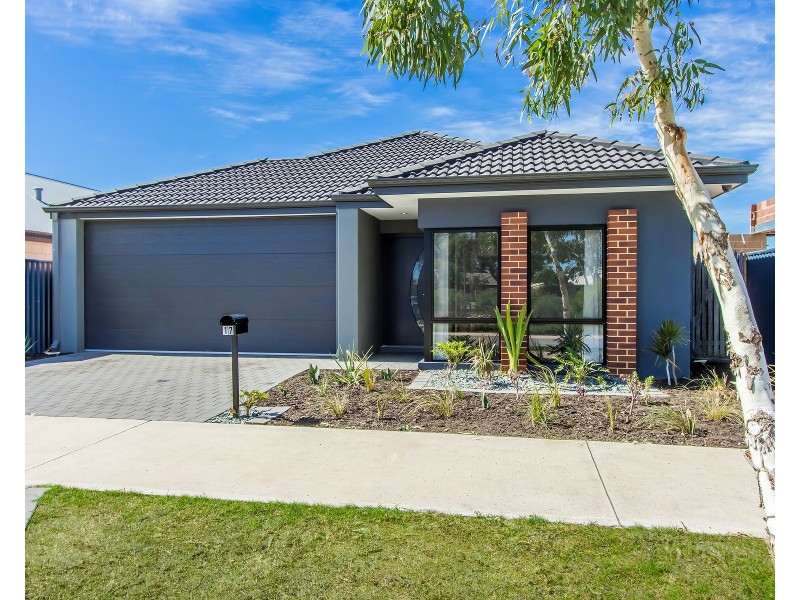 17 Macadamia Avenue, Baldivis WA 6171