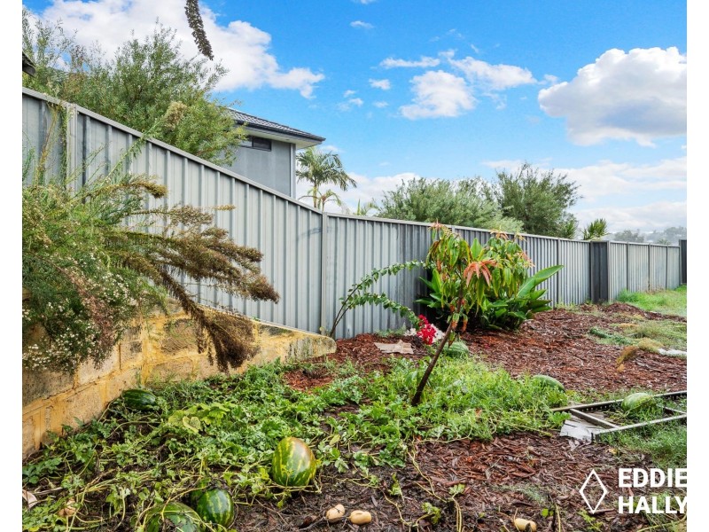 11 Hunnicutt Close, Yangebup WA 6164