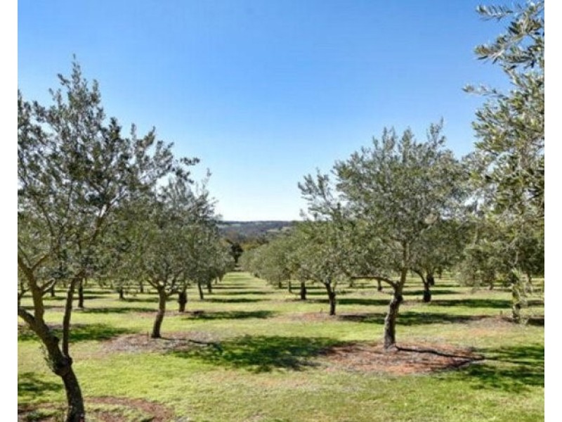 439 Parkland Drive, Julimar WA 6567