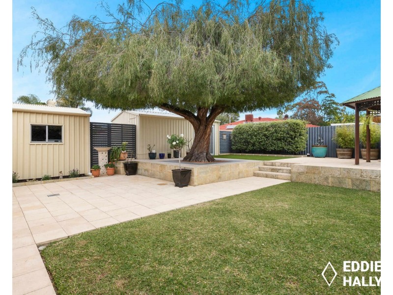 3 Sandpiper Loop, Yangebup WA 6164