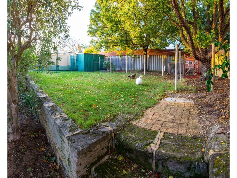 29 Argyle Place, Yangebup WA 6164