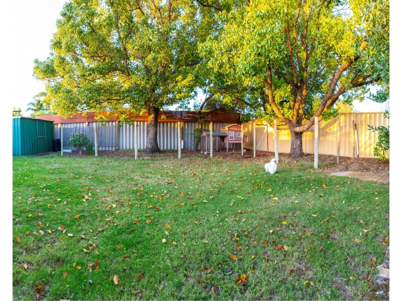 29 Argyle Place, Yangebup WA 6164