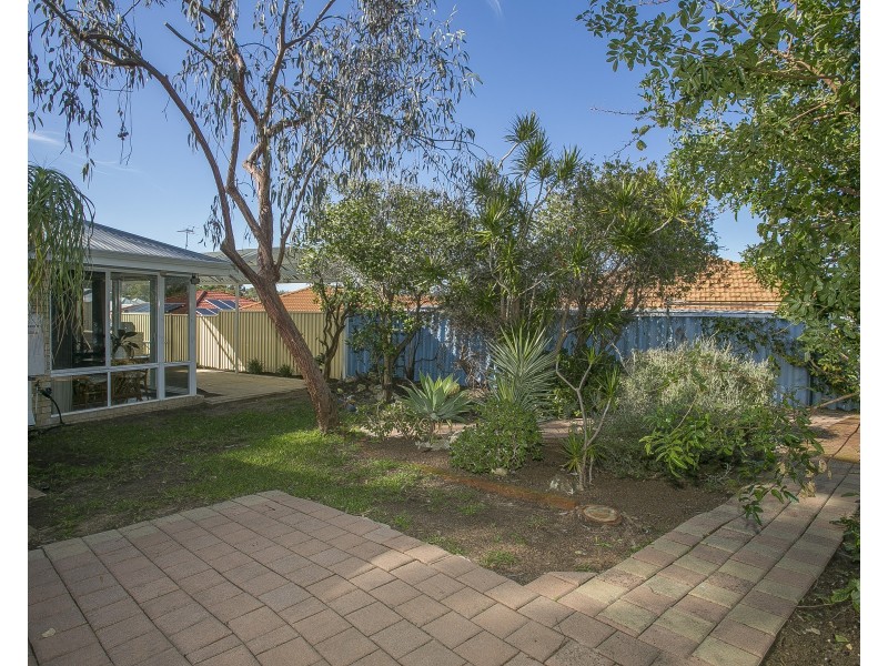 3 Meadley Mews, Hamilton Hill WA 6163