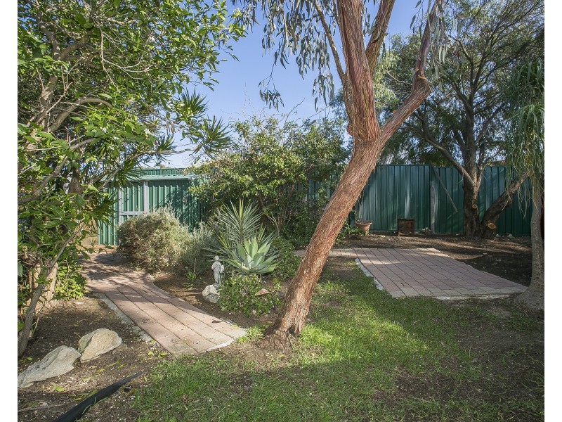 3 Meadley Mews, Hamilton Hill WA 6163