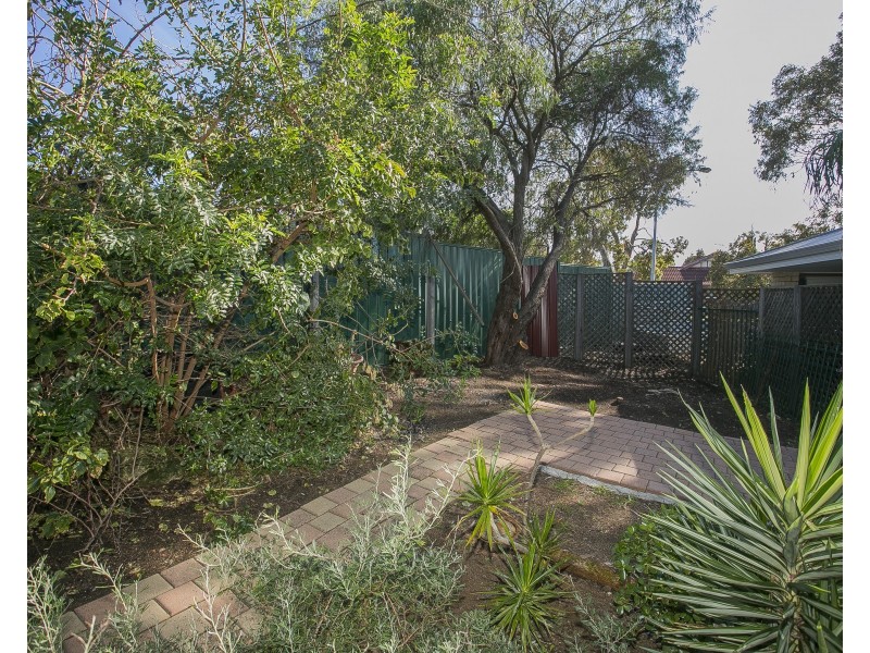 3 Meadley Mews, Hamilton Hill WA 6163