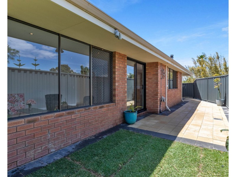 29 Plover Drive, Yangebup WA 6164