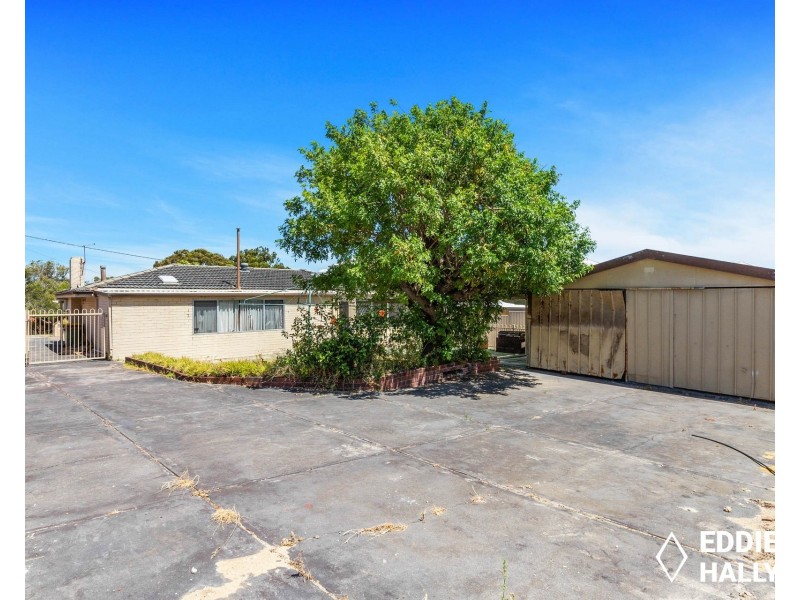 16 Porter Street, Beaconsfield WA 6162