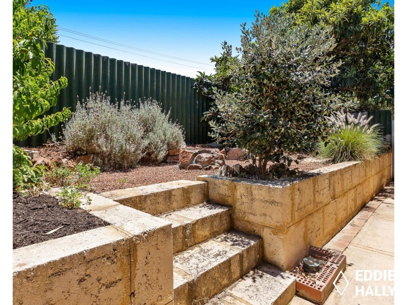 2 Cormorant Way, Yangebup WA 6164