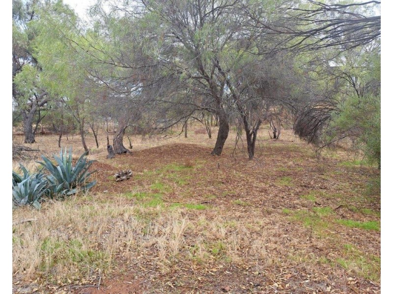 7 Connor Street, Toodyay WA 6566