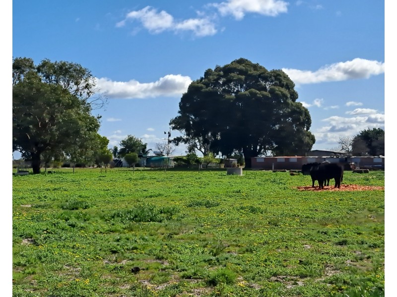 241 Strickland Road, Bambun WA 6503