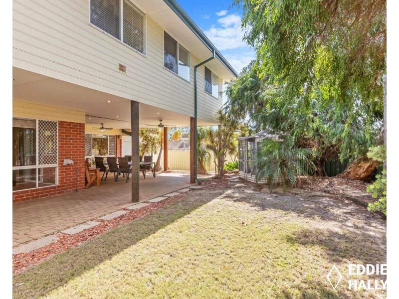 27 Torenia Way, Yangebup WA 6164
