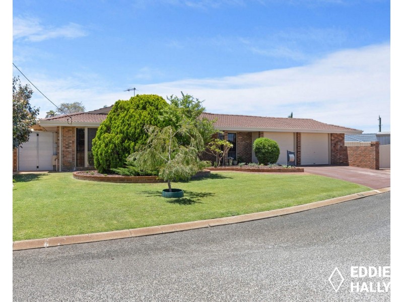 9 Iris Place, Yangebup WA 6164