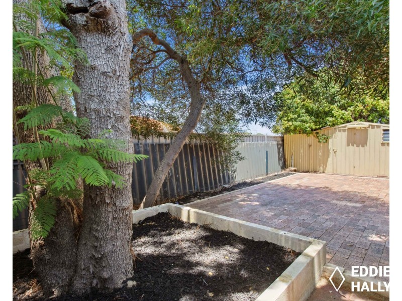 117 Plover Drive, Yangebup WA 6164