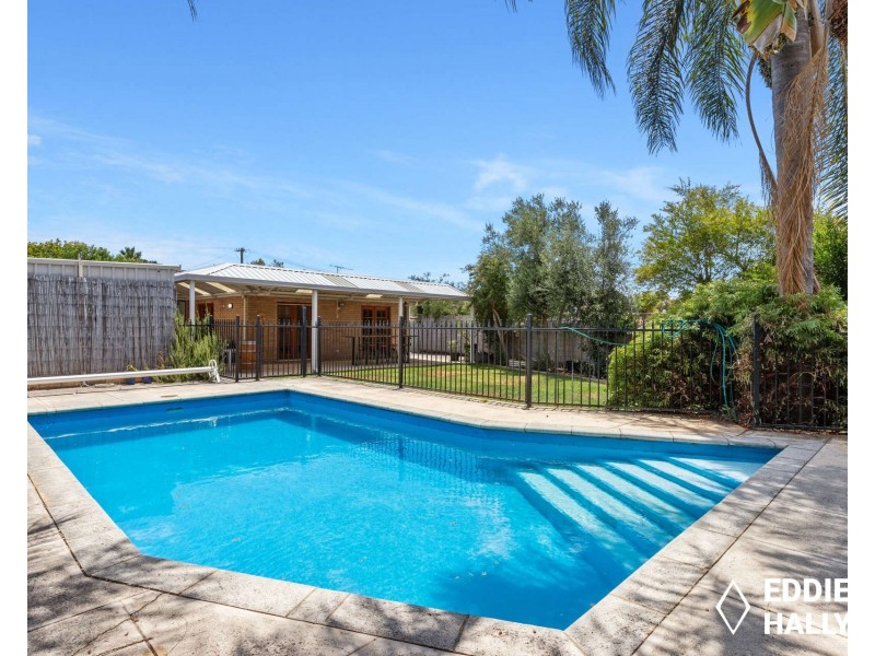 3 Tattler Place, Yangebup WA 6164