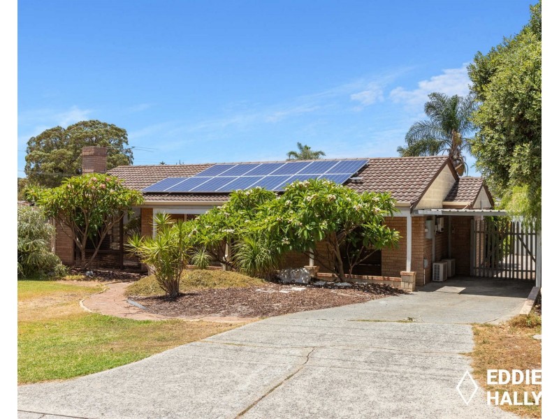 3 Tattler Place, Yangebup WA 6164