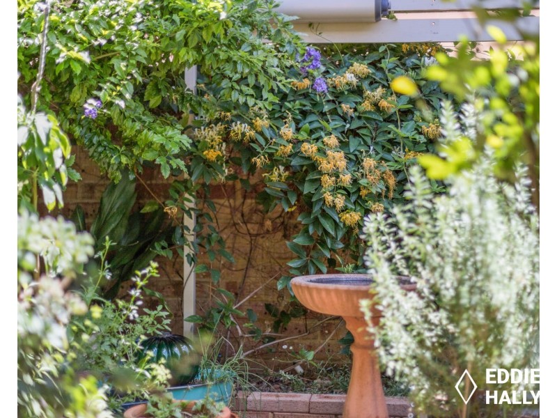 31/11 Petterson Avenue, Samson WA 6163