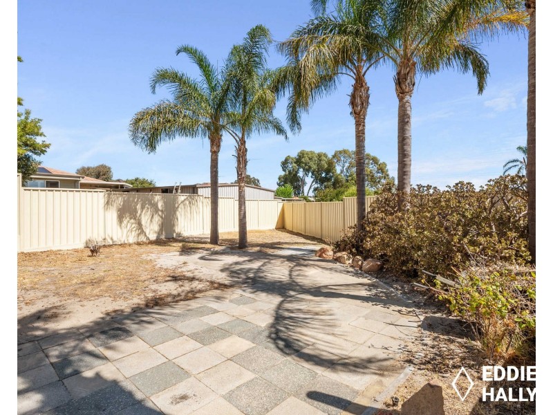 7 Salvia Court, Yangebup WA 6164