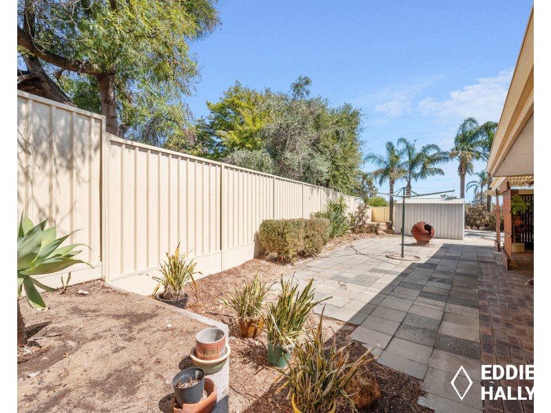 7 Salvia Court, Yangebup WA 6164