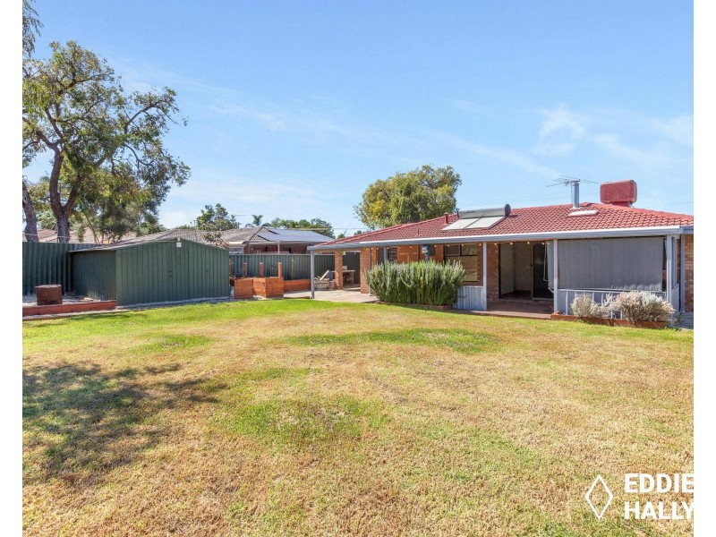 35 Dotterel Way, Yangebup WA 6164