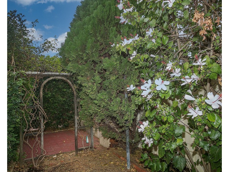 21C Hatfield Way, Girrawheen WA 6064