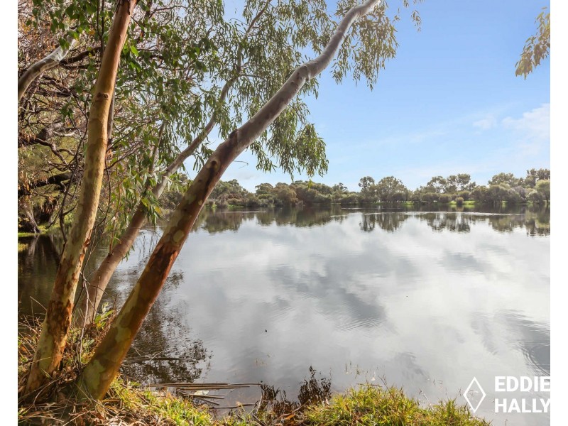 16 Fertito Entrance, Success WA 6164