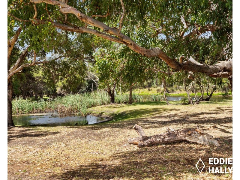 9 Sandpiper Loop, Yangebup WA 6164
