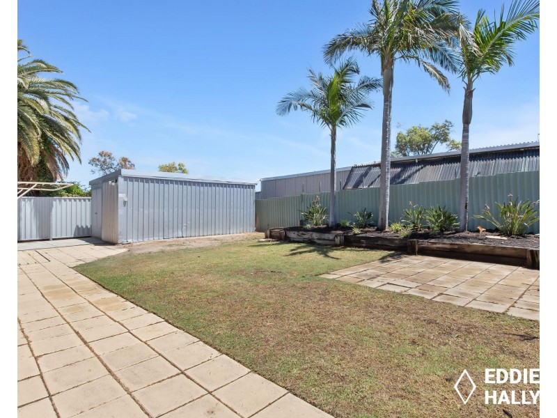 3 Moorhen Drive, Yangebup WA 6164