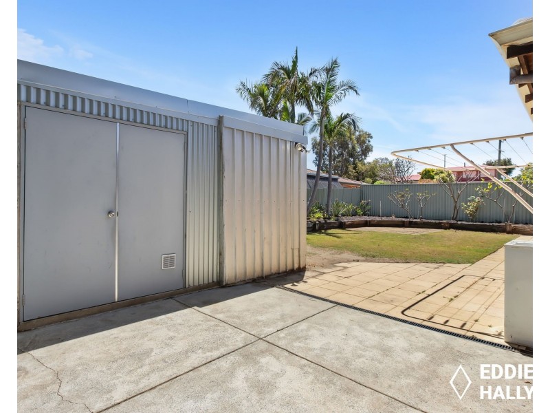 3 Moorhen Drive, Yangebup WA 6164