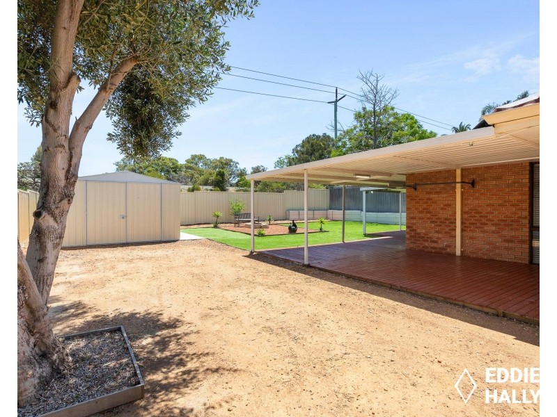 39 Dotterel Way, Yangebup WA 6164