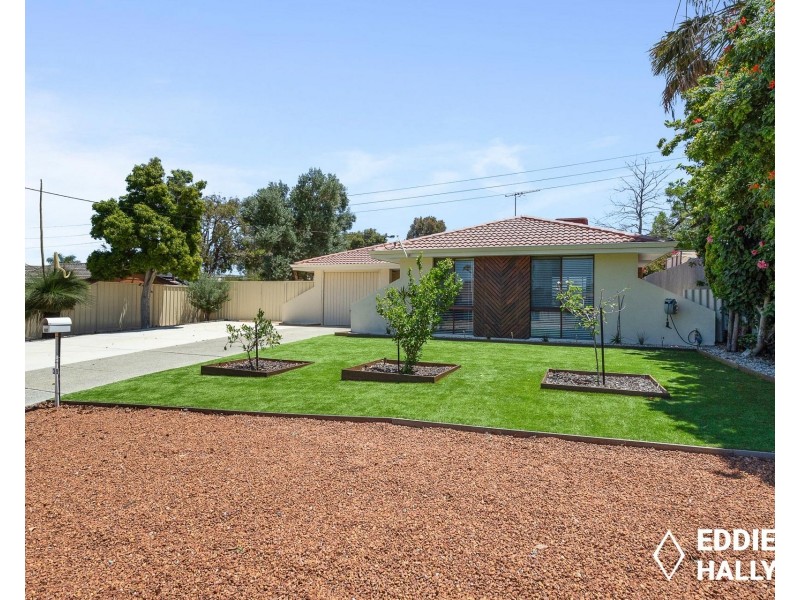 39 Dotterel Way, Yangebup WA 6164