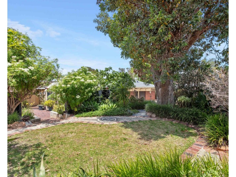 3 Crake Place, Yangebup WA 6164