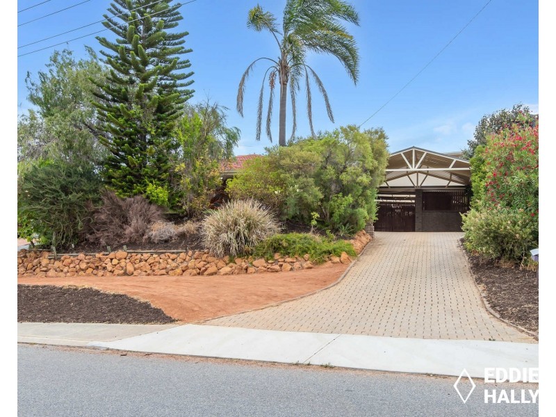 96 Plover Drive, Yangebup WA 6164