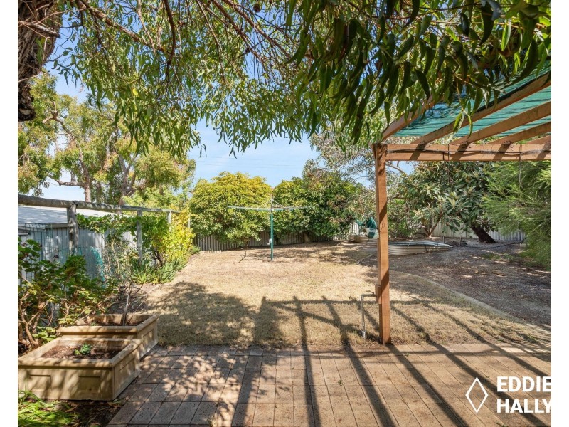 48 Sandpiper Loop, Yangebup WA 6164