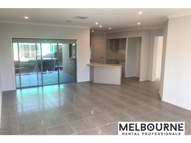 41 Hartleigh Street, Clyde VIC 3978