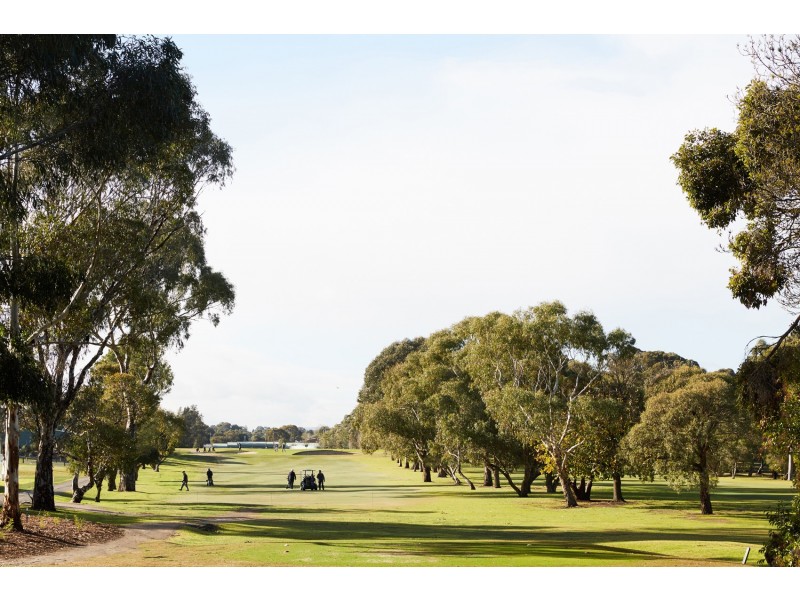 101 Carrington Road, Box Hill VIC 3128