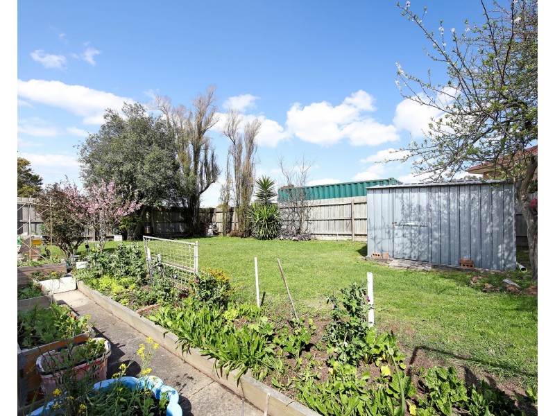 50 Springfield Crescent, Hampton Park VIC 3976