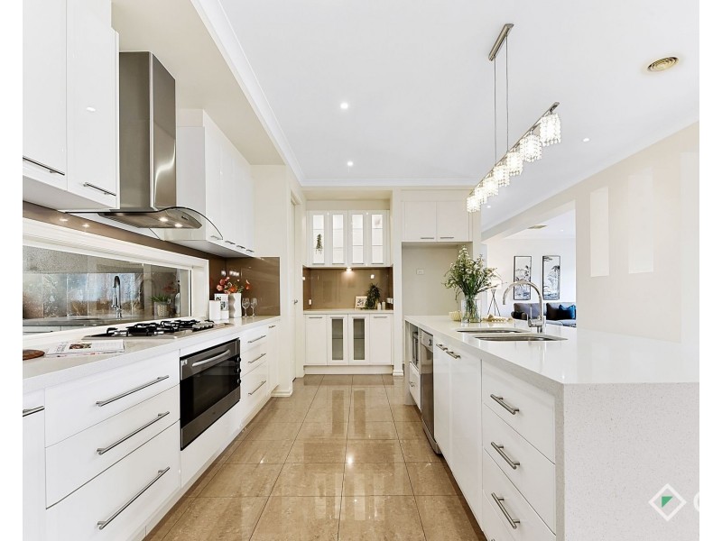 19 Glenora Street, Chadstone VIC 3148