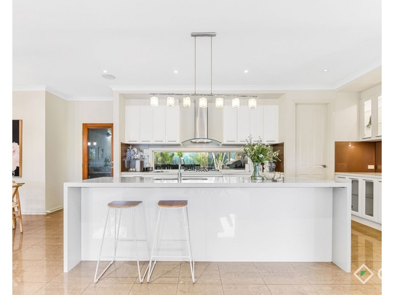 19 Glenora Street, Chadstone VIC 3148