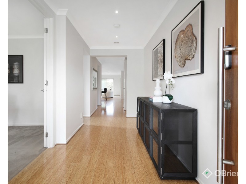 62 Littlewood Street, Hampton VIC 3188