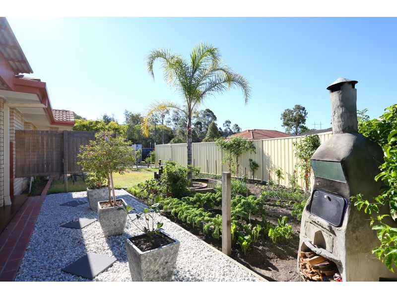 1/3 Paula Drive, Upper Coomera QLD 4209