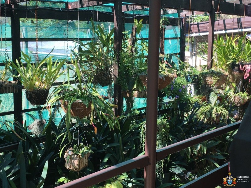 188-194 New Beith Road, Greenbank QLD 4124