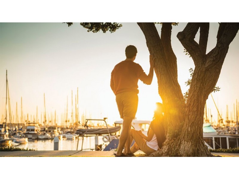 Hope Island QLD 4212