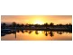 Hope Island QLD 4212