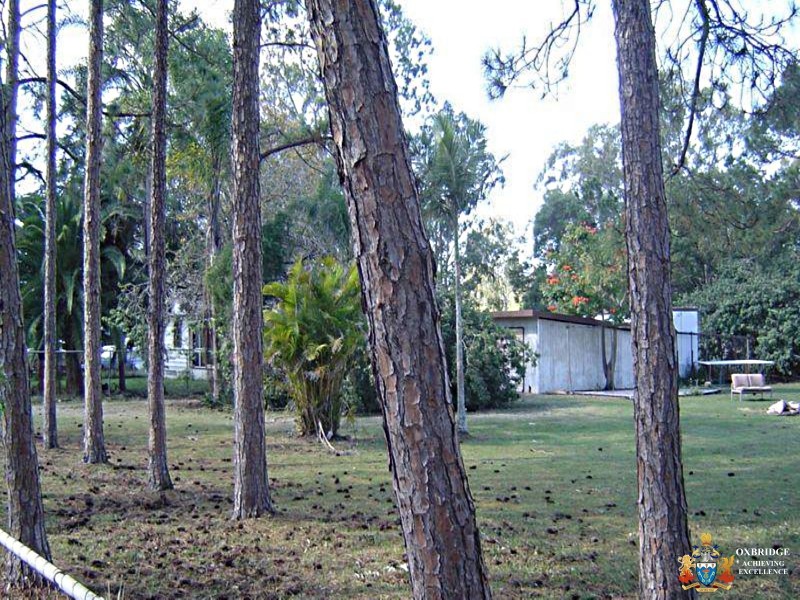 91 Stanworth Road, Boondall QLD 4034